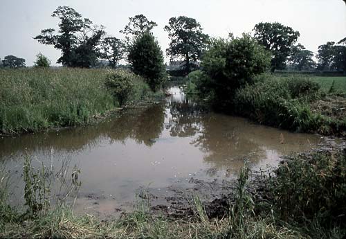 Calverhall moated site